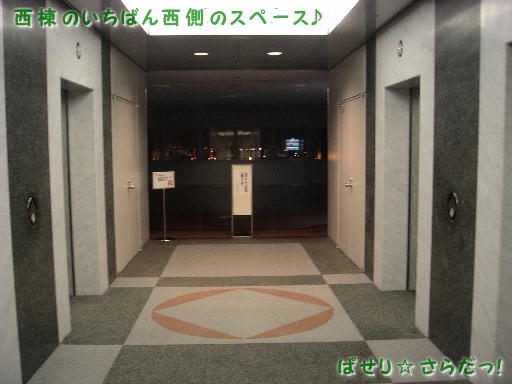 イメージ 5