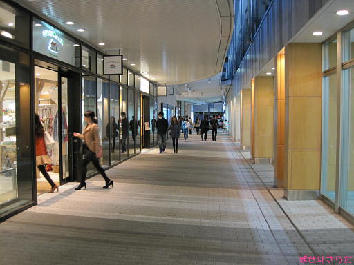 イメージ 4
