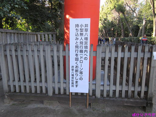 イメージ 2