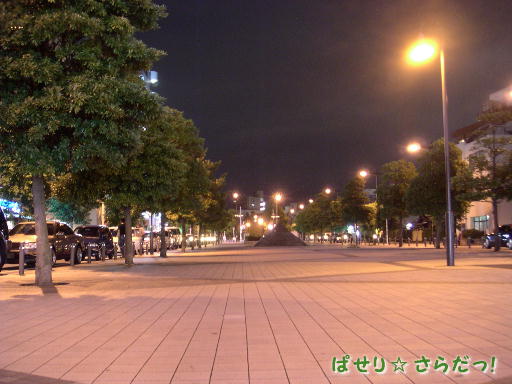 イメージ 6