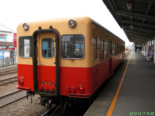 イメージ 10