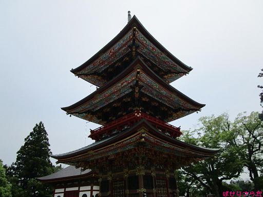 イメージ 3