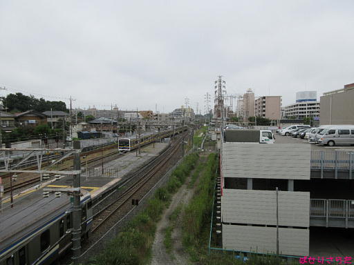 イメージ 5