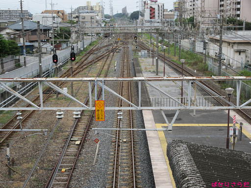 イメージ 6