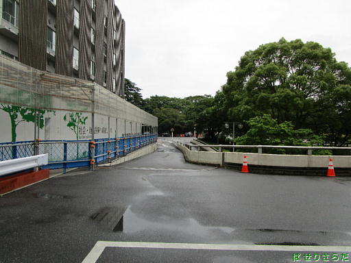 イメージ 6