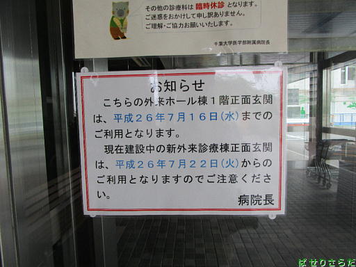 イメージ 8