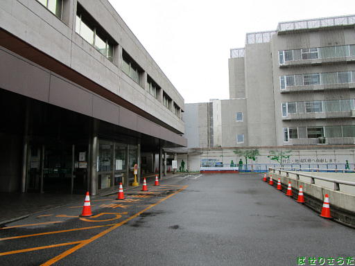 イメージ 10