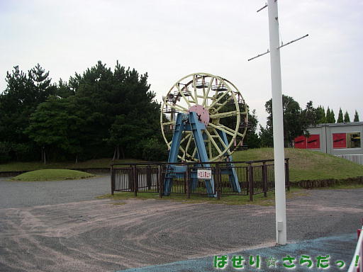 イメージ 3