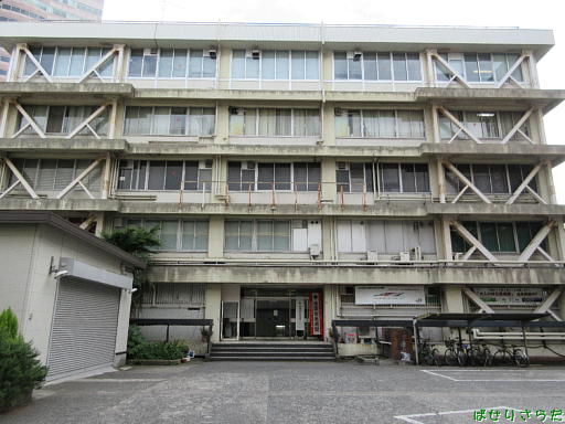 イメージ 5