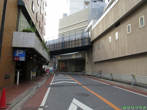 イメージ 6