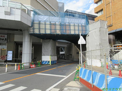 イメージ 7