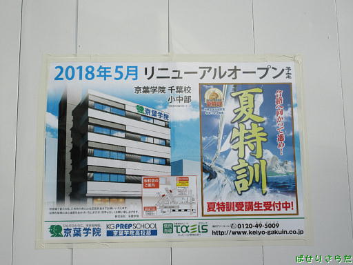 イメージ 9