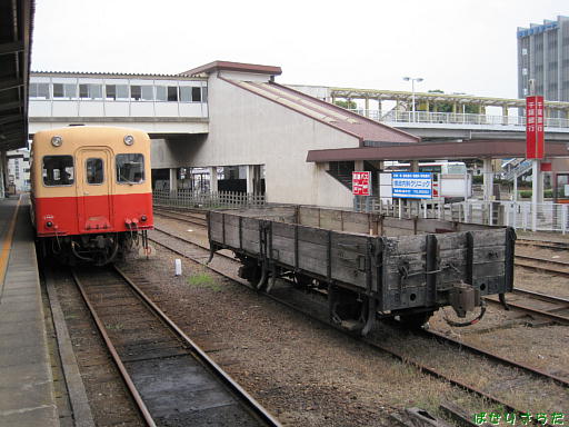 イメージ 5