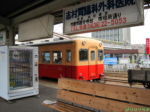 イメージ 7