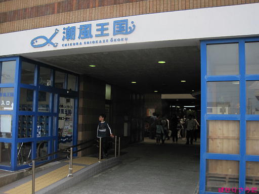 イメージ 7