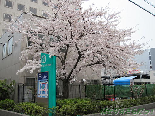イメージ 1