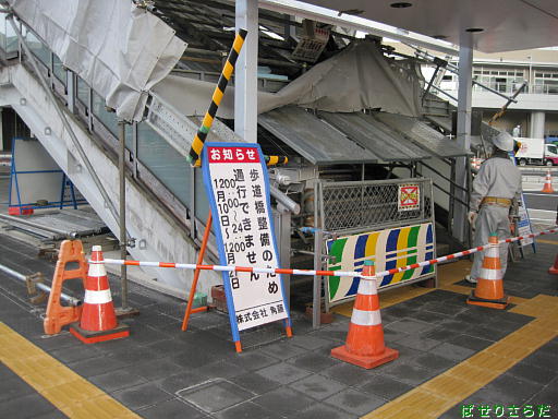 イメージ 5