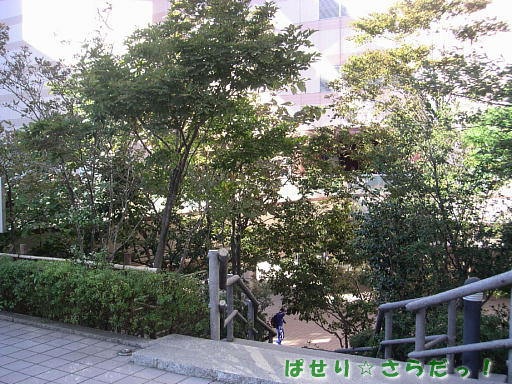 イメージ 3