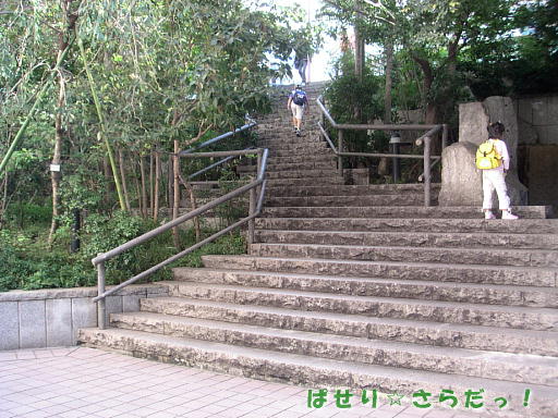 イメージ 4