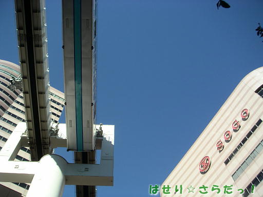 イメージ 6