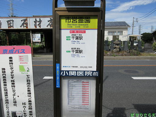 イメージ 5