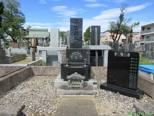 イメージ 7