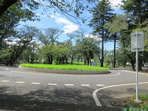イメージ 8