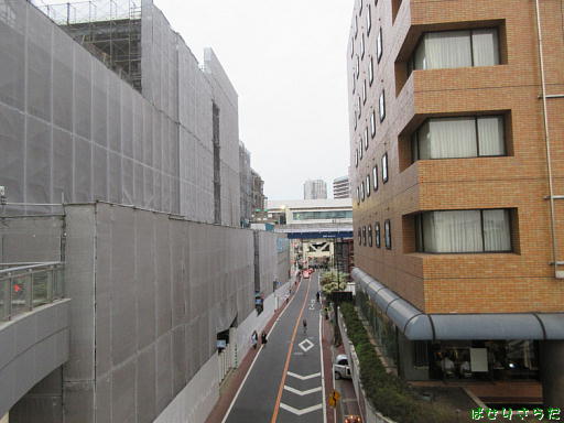 イメージ 5