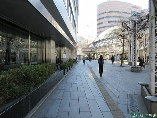 イメージ 6