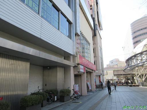 イメージ 7