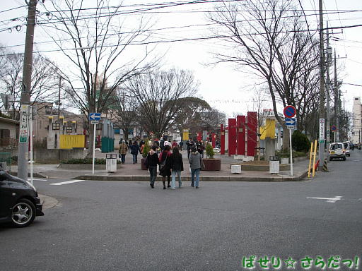 イメージ 5