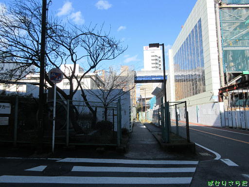 イメージ 5