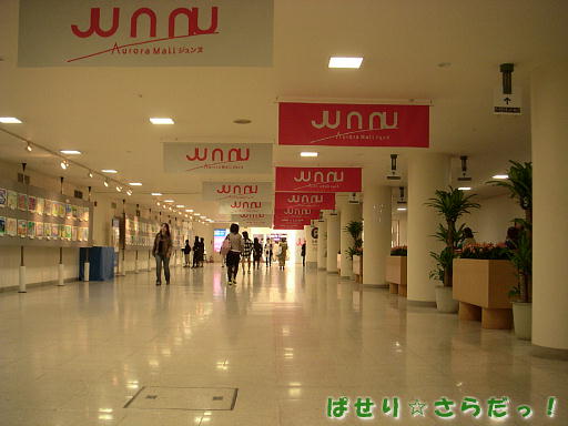 イメージ 6
