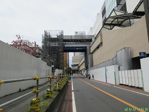イメージ 7