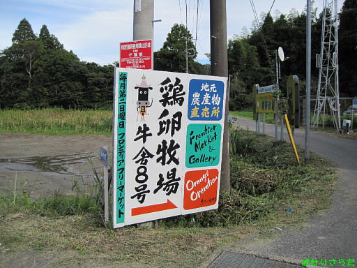 イメージ 3