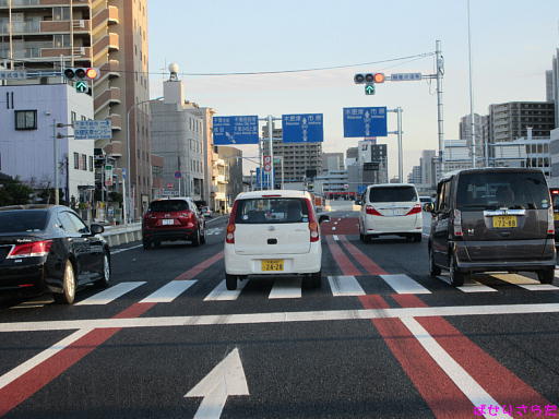 イメージ 8