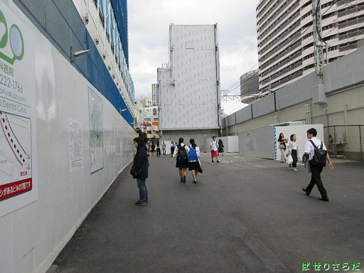 イメージ 7
