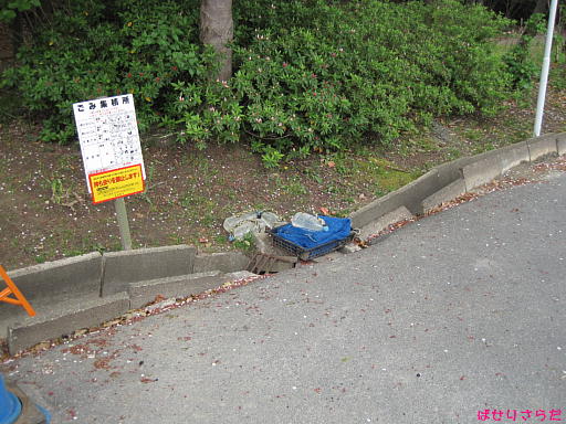 イメージ 6