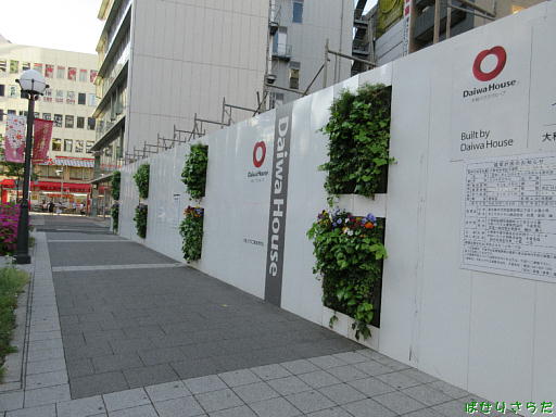 イメージ 3