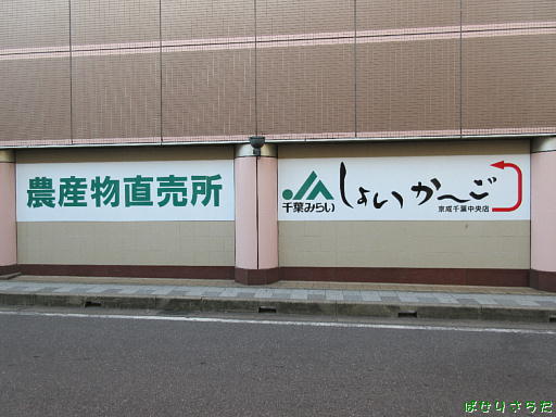 イメージ 6