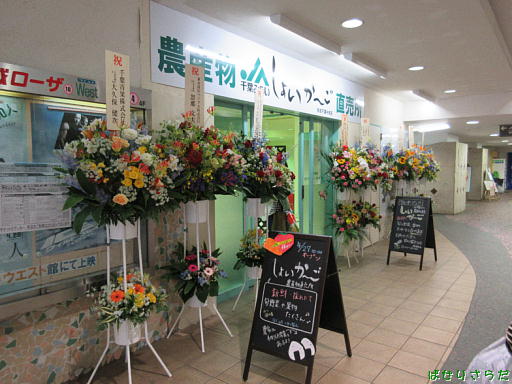 イメージ 7