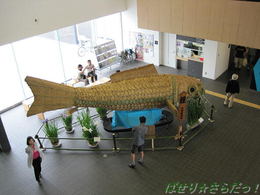 イメージ 6