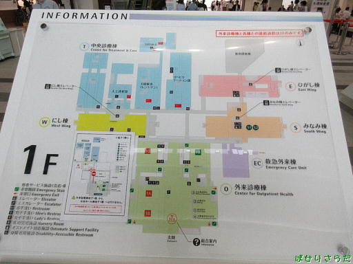 イメージ 5
