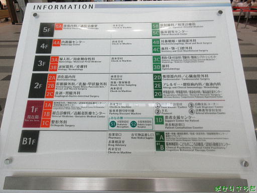 イメージ 6