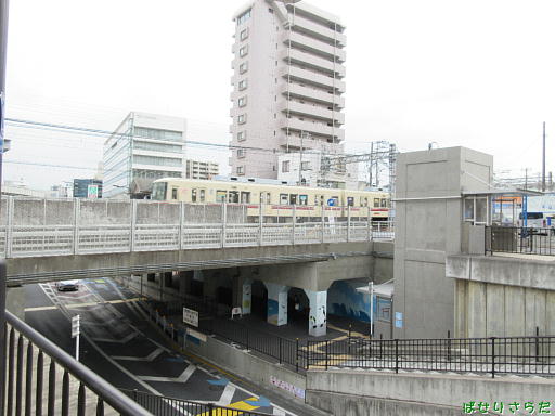 イメージ 7