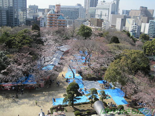 イメージ 3