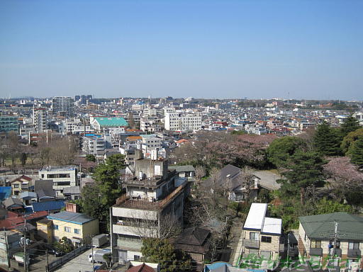 イメージ 4