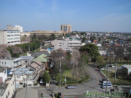 イメージ 6