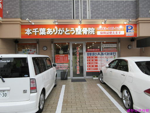イメージ 5