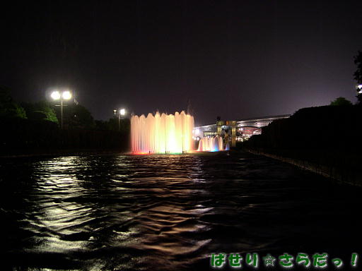 イメージ 5